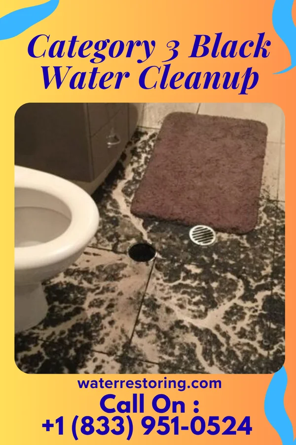 Category 3 Black Water Cleanup in Keenes, IL