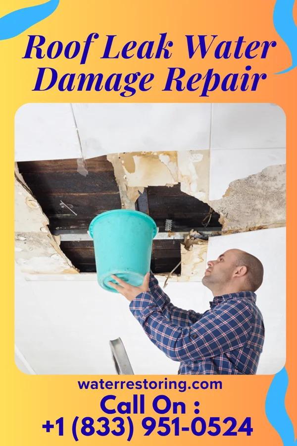 Roof Leak Water Damage Repair in Keenes, IL